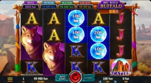 Böyük vəhşi camış Belatra